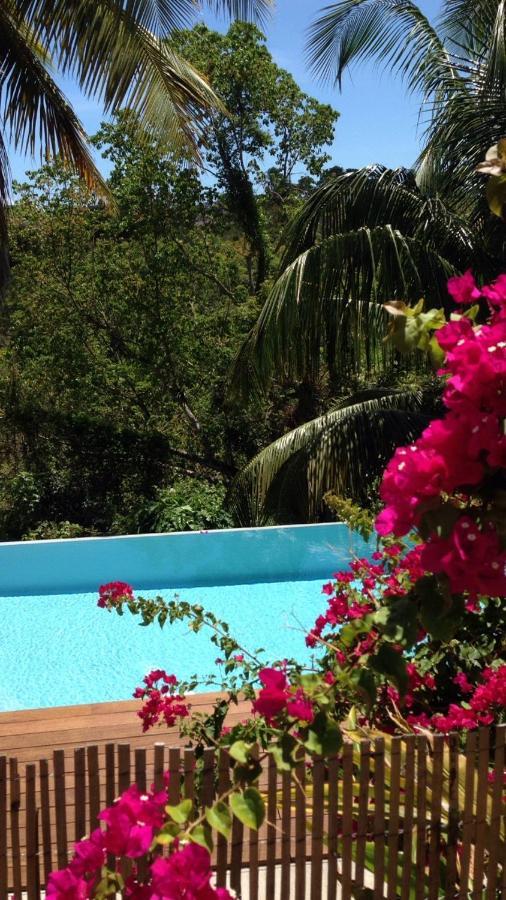 Confortable T1 Le Gosier, Wi-Fi, Piscine Dans Gite Le Gosier  Luaran gambar